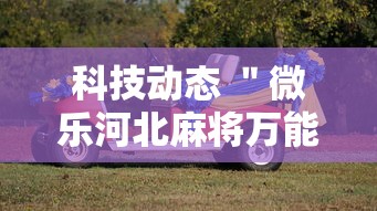 专用辅助“好友赣南麻将开挂方法”详细分享装挂步骤教程