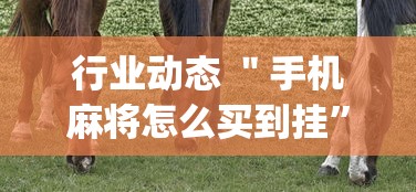 行业动态 ＂手机麻将怎么买到挂”开挂(透视)辅助神器