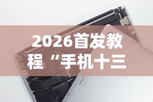 2026首发教程“手机十三张辅助器”-必赢神器安装
