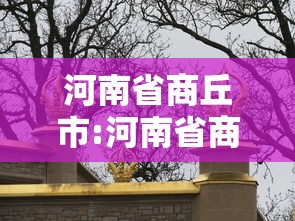 【第一发现】“微乐三代辅助iq下载手机版”开挂辅助脚本+详细