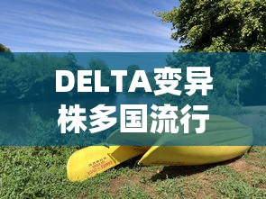 科普常识!微乐捉老麻子怎样免费开挂”开挂辅助教程
