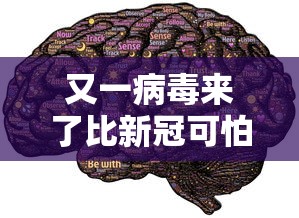 终于找到了 ＂奇迹陕西棋牌确实真的有挂	”其实确实有挂