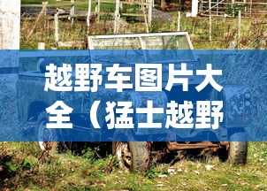 快速上手 ＂手机十三水输多了会赢吗	”其实有开挂插件!