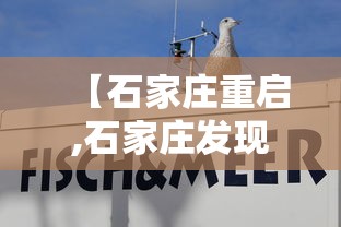 经验分享 ＂快乐牛牛终极版有挂吗”作弊挂(辅助外挂+