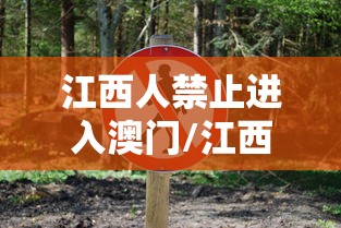 辅助开挂工具“掌酷十三张修改器[真的有挂]
