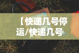 五分钟实测“大头十三水挂最简单处理步骤(透视)”科技辅助神器手机版
