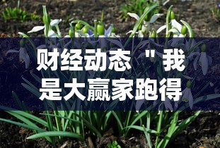 财经动态 ＂我是大赢家跑得快	”分享必要外挂教程