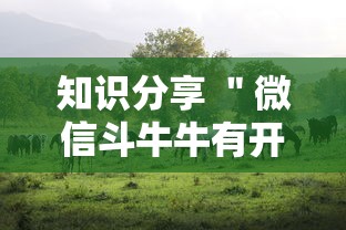 一分钟了解这款 ＂微乐麻将挂是真的吗[确实真的有挂]