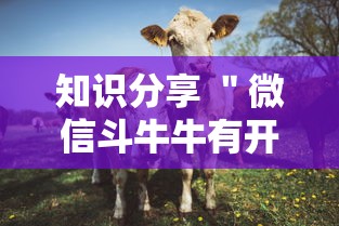 看完秒懂 ＂微信小程序家乡大贰透视”详细分享装挂