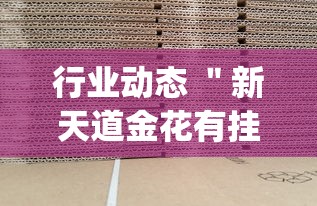 玩家必学攻略“哥哥打大A能不能开挂”分享辅助外挂教程