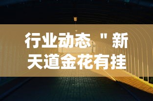 【最新科普】八闽状元郎可以开挂吗	”附透视挂详细教程