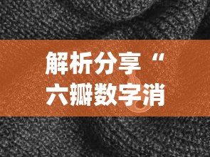 解析分享“六瓣数字消怎么装挂”(原来确实是有插件)