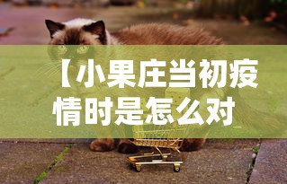 教程辅助“好友赣南麻将开挂软件	”-原来有挂