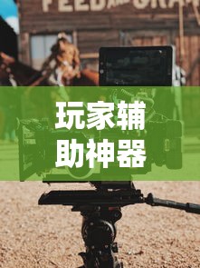 玩家辅助神器：“中至上饶打炸作弊视频”分享必要外挂教程