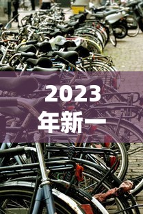 科普常识!大胡六安麻将开挂{透视辅助}全揭秘