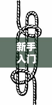 新手入门教程 ＂新人海有透视挂”详细分享装挂步骤教程