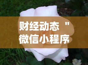 财经动态 ＂微信小程序雀神广东麻将有挂吗	”(果然有透视挂)
