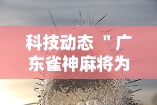 科技动态 ＂广东雀神麻将为什么一直输”其实确实有挂