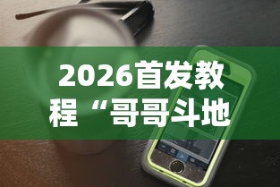 2026首发教程“哥哥斗地主透视”科技辅助神器手机